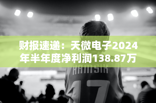 财报速递：天微电子2024年半年度净利润138.87万元