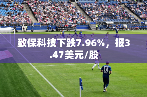 致保科技下跌7.96%，报3.47美元/股