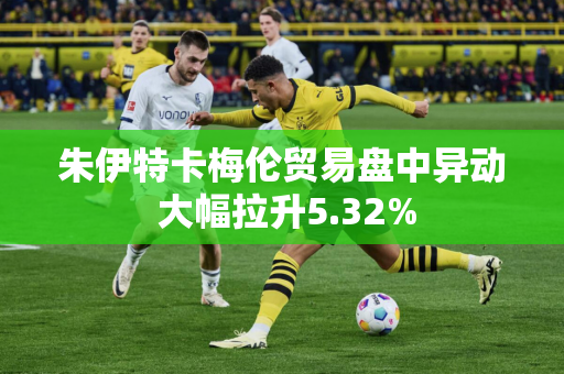 朱伊特卡梅伦贸易盘中异动 大幅拉升5.32%