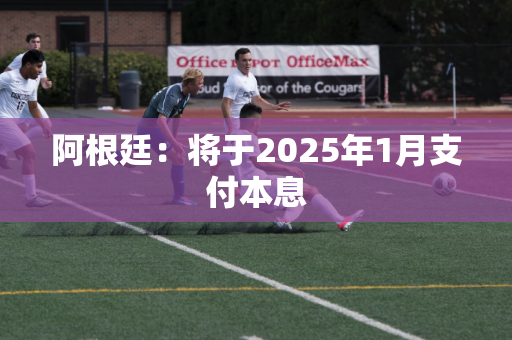 阿根廷：将于2025年1月支付本息