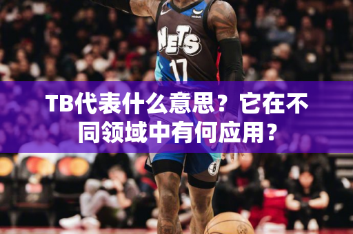 TB代表什么意思？它在不同领域中有何应用？