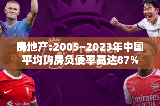 房地产:2005~2023年中国平均购房负债率高达87%