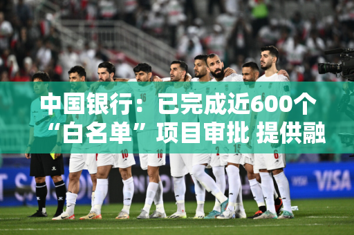 中国银行：已完成近600个“白名单”项目审批 提供融资金额超1300亿元