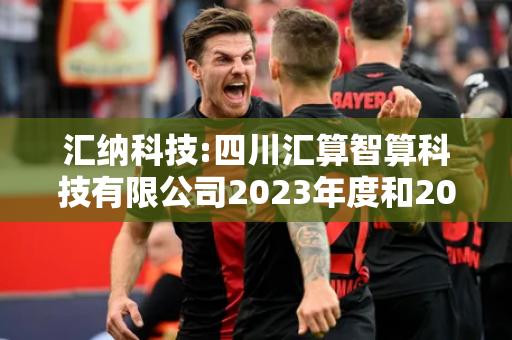 汇纳科技:四川汇算智算科技有限公司2023年度和2024年半年度审计报告及财务报表