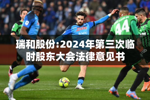 瑞和股份:2024年第三次临时股东大会法律意见书