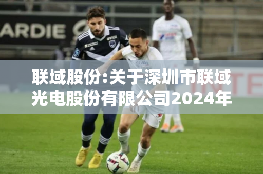 联域股份:关于深圳市联域光电股份有限公司2024年第三次临时股东大会之法律意见书