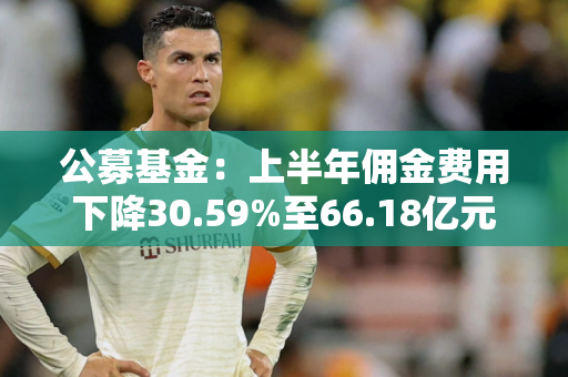 公募基金：上半年佣金费用下降30.59%至66.18亿元