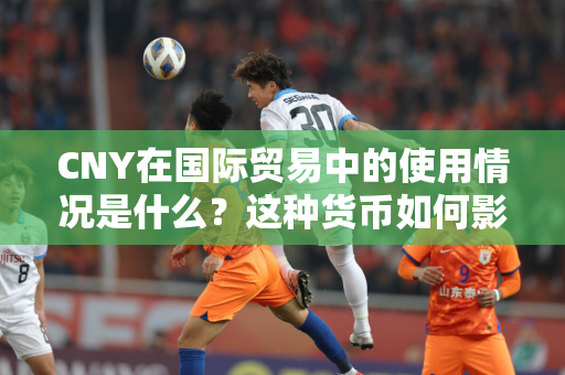 CNY在国际贸易中的使用情况是什么？这种货币如何影响跨境交易和结算？