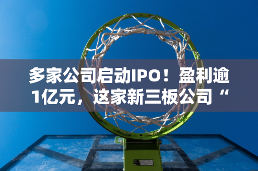 多家公司启动IPO！盈利逾1亿元，这家新三板公司“改道”北交所