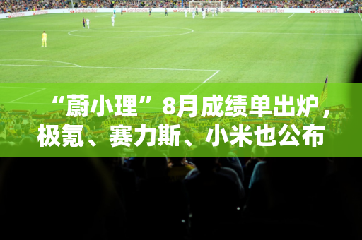 “蔚小理”8月成绩单出炉，极氪、赛力斯、小米也公布了！余承东：新能源汽车的下半场是智能化