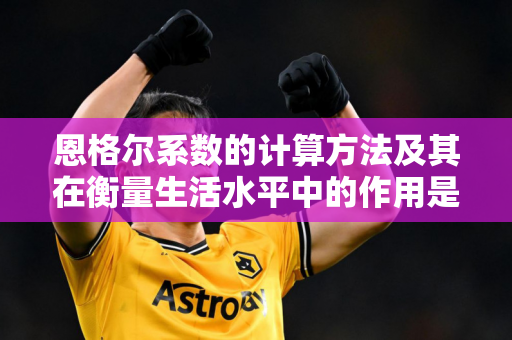 恩格尔系数的计算方法及其在衡量生活水平中的作用是什么？恩格尔系数的变化如何反映消费结构的变化？