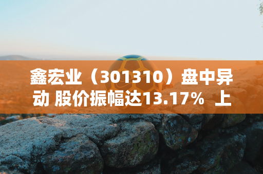 鑫宏业（301310）盘中异动 股价振幅达13.17%  上涨10.16%（09-02）