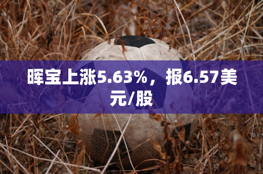 晖宝上涨5.63%，报6.57美元/股