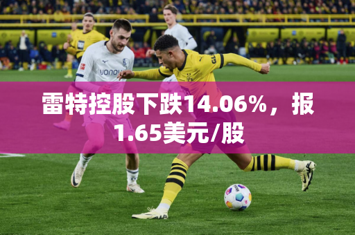 雷特控股下跌14.06%，报1.65美元/股