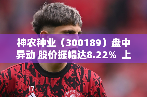 神农种业（300189）盘中异动 股价振幅达8.22%  上涨5.94%（09-04）