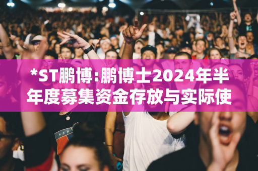 *ST鹏博:鹏博士2024年半年度募集资金存放与实际使用情况专项报告