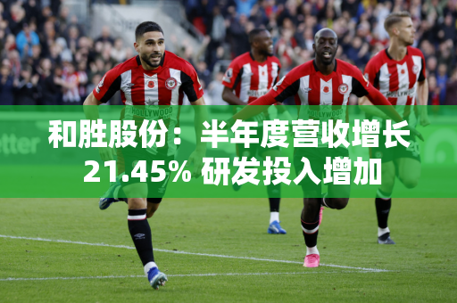 和胜股份：半年度营收增长 21.45% 研发投入增加