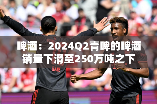 啤酒：2024Q2青啤的啤酒销量下滑至250万吨之下