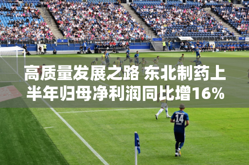 高质量发展之路 东北制药上半年归母净利润同比增16% 绿色战略见成效