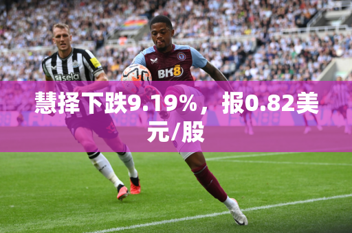 慧择下跌9.19%，报0.82美元/股