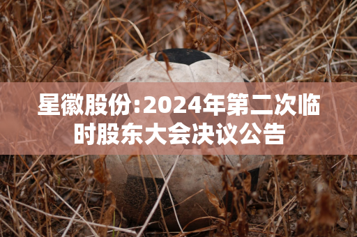 星徽股份:2024年第二次临时股东大会决议公告