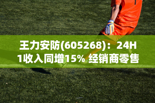 王力安防(605268)：24H1收入同增15% 经销商零售渠道表现亮眼