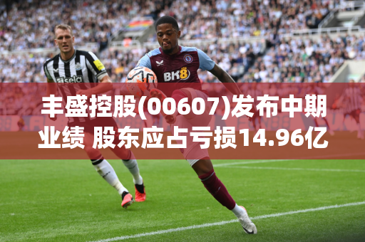 丰盛控股(00607)发布中期业绩 股东应占亏损14.96亿元 同比扩大766.87%