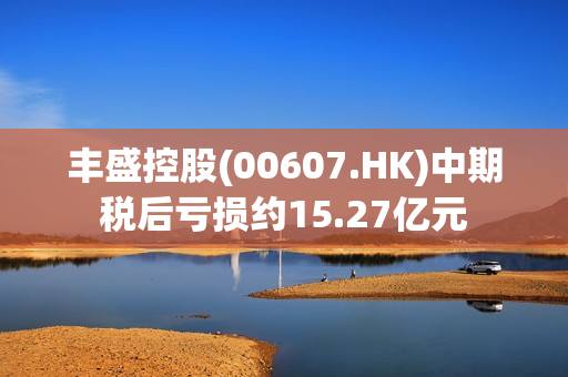 丰盛控股(00607.HK)中期税后亏损约15.27亿元