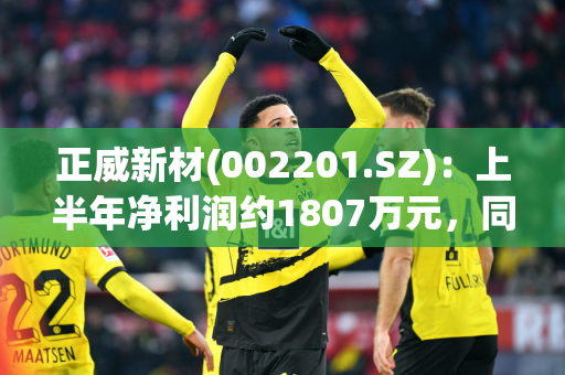 正威新材(002201.SZ)：上半年净利润约1807万元，同比增加9.84%