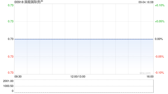 国能国际资产股份简称将变更为“龙翼航空科技”