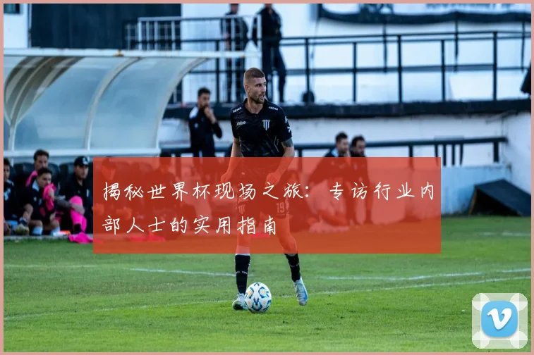 揭秘世界杯现场之旅：专访行业内部人士的实用指南