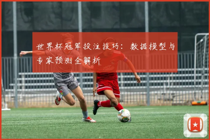 世界杯冠军投注技巧：数据模型与专家预测全解析