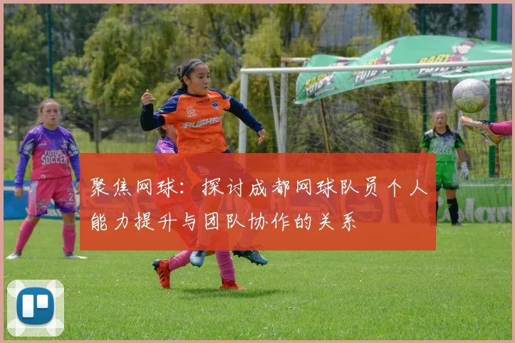 聚焦网球:探讨成都网球队员个人能力提升与团队协作的关系