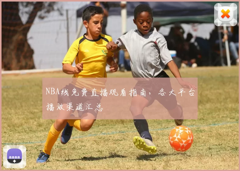 NBA线免费直播观看指南，各大平台播放渠道汇总