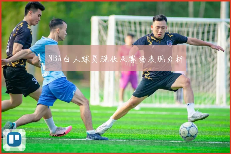 NBA白人球员现状及赛场表现分析