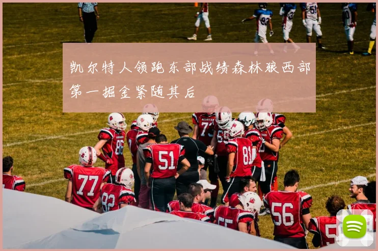 凯尔特人领跑东部战绩森林狼西部第一掘金紧随其后