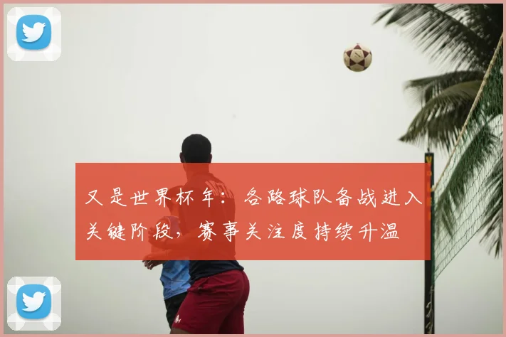 又是世界杯年：各路球队备战进入关键阶段，赛事关注度持续升温