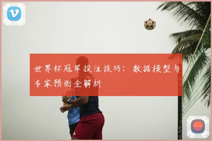 世界杯冠军投注技巧：数据模型与专家预测全解析