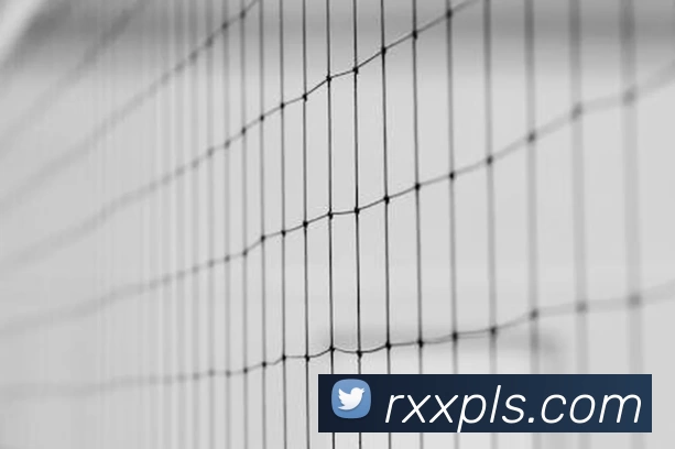 九游体育平台生态图