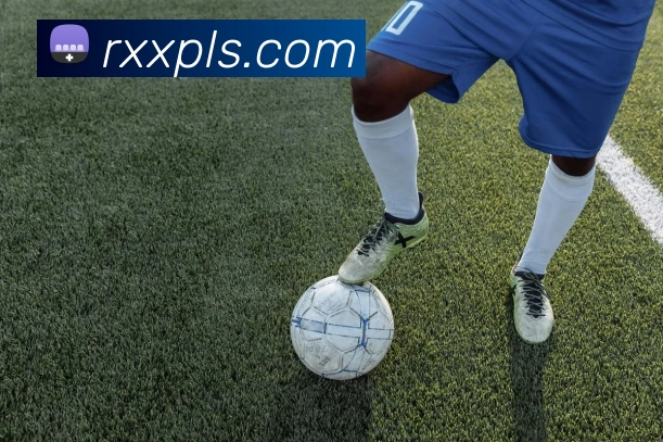 九游体育服务体系