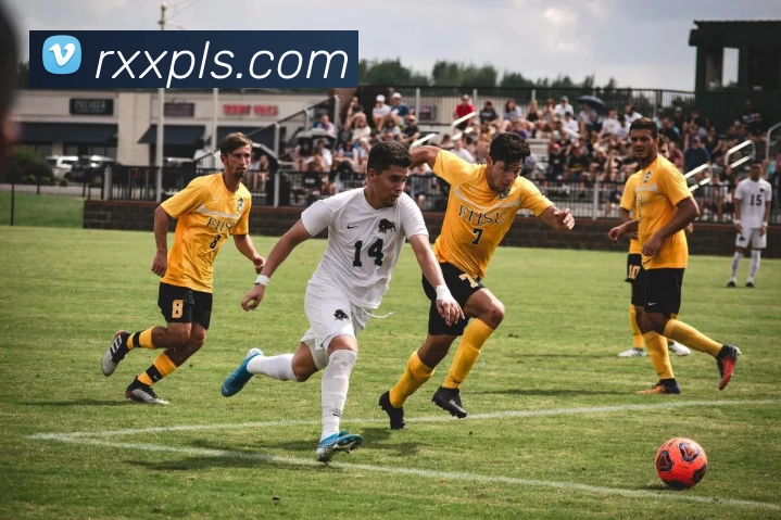 九游体育APP 封面图